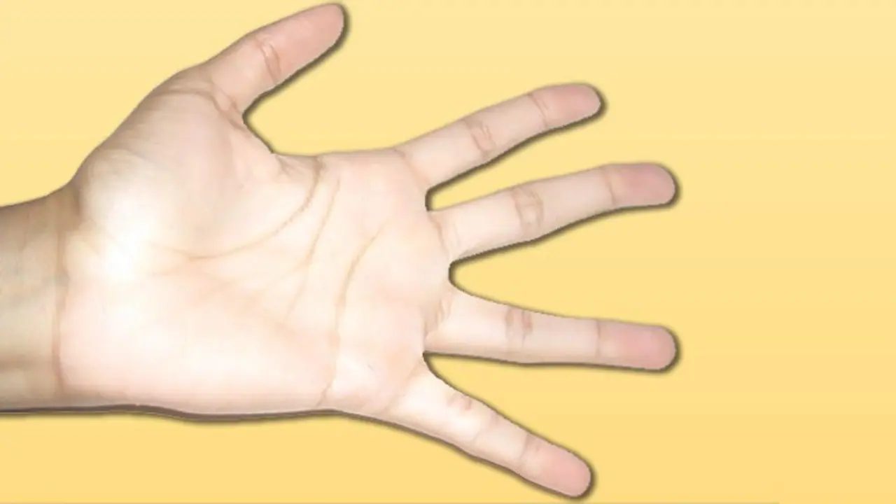 हथेली में जीवन रेखा टूटी हो जीवन में अनेक कष्ट झेलने पड़ते हैं, ये हैं इस रेखा से जुड़े शुभ अशुभ संकेत हथेली में जीवन रेखा टूटी हो जीवन में अनेक कष्ट झेलने पड़ते हैं, ये हैं इस रेखा से जुड़े शुभ अशुभ संकेत