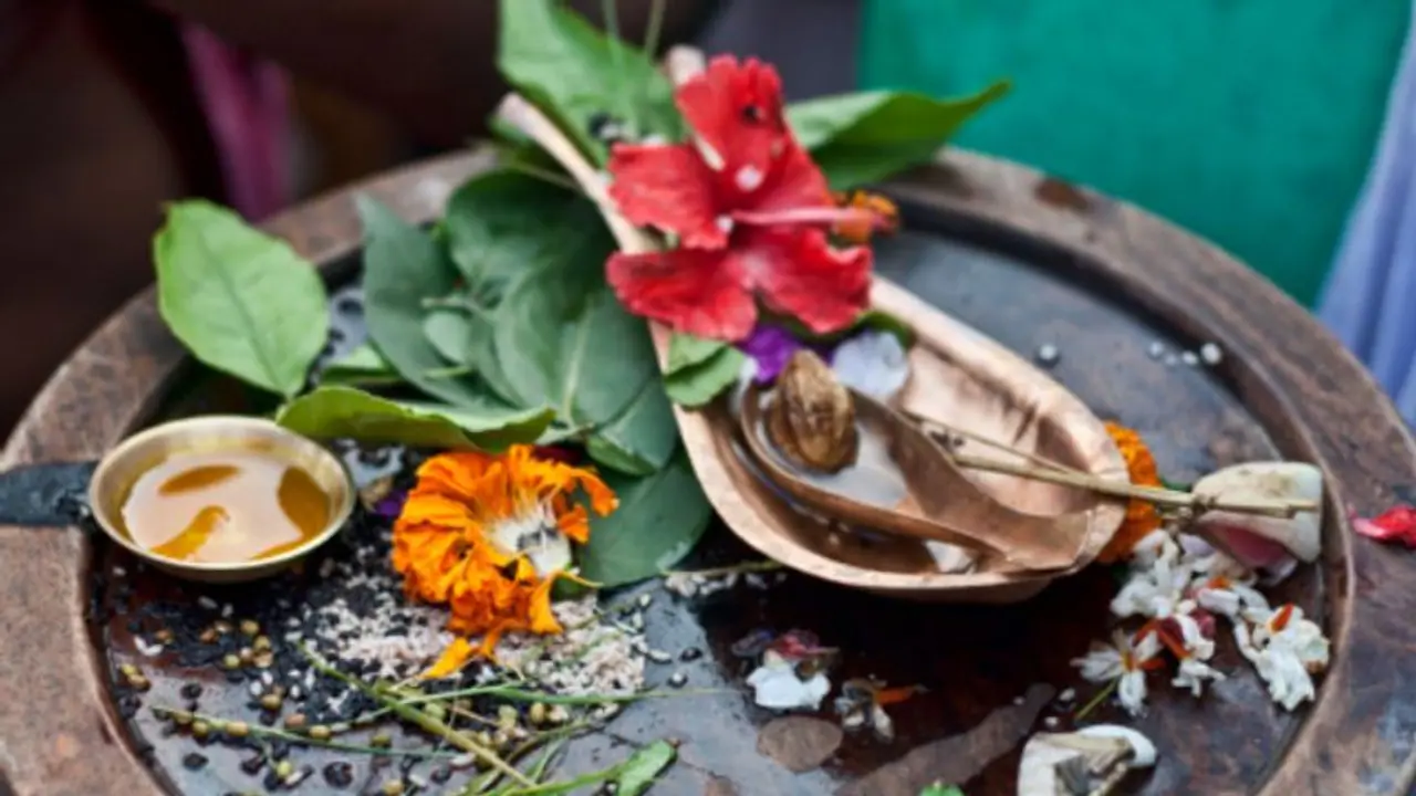 পুজোর অপরিহার্য উপাদান বেল পাতা, কেন সব পুজোয় ব্যবহৃত হয় জানুন এর গুরুত্ব