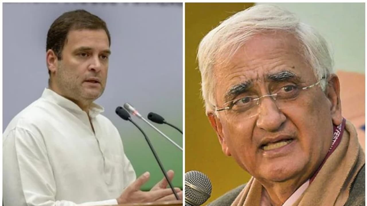 കോണ്ഗ്രസ് അധ്യക്ഷ സ്ഥാനത്തേക്ക് രാഹുല് തിരിച്ചെത്തണം: സല്മാന് ഖുര്ഷിദ് കോണ്ഗ്രസ് അധ്യക്ഷ സ്ഥാനത്തേക്ക് രാഹുല് തിരിച്ചെത്തണം: സല്മാന് ഖുര്ഷിദ്