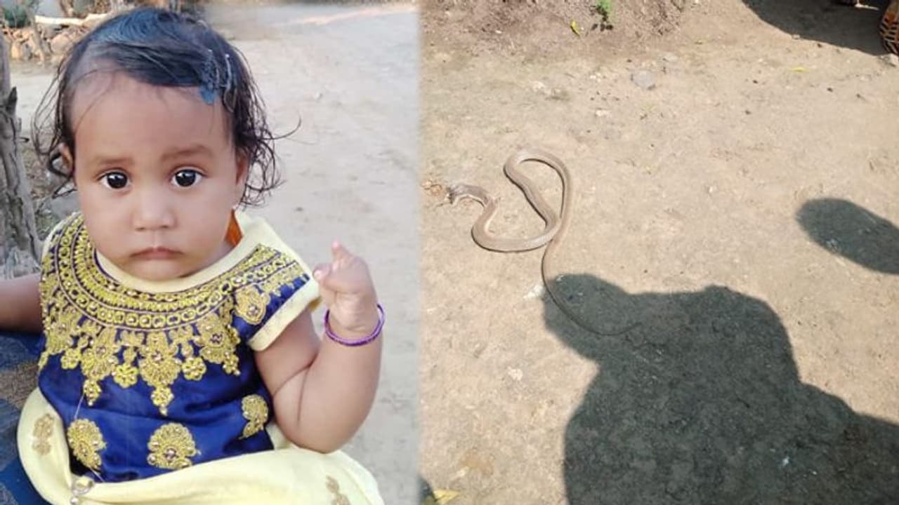 జగిత్యాలలో విషాదం: పాముకాటుతో చిన్నారి మృతి జగిత్యాలలో విషాదం: పాముకాటుతో చిన్నారి మృతి