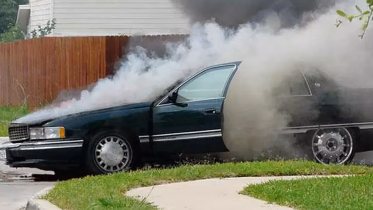 കാറില് നിന്ന് പുക കണ്ട് കാരണം പരിശോധിച്ച ദമ്പതികള് കണ്ടത്! കാറില് നിന്ന് പുക കണ്ട് കാരണം പരിശോധിച്ച ദമ്പതികള് കണ്ടത്!