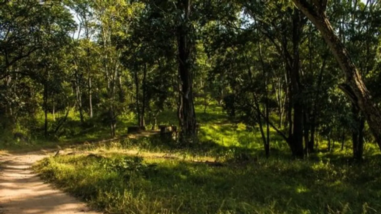 ಗುರಿ ತಪ್ಪಿದ ಬೇಟೆಯಿಂದ ವ್ಯಕ್ತಿ ಆಸ್ಪತ್ರೆಗೆ, ಮೂವರು ಪೊಲೀಸರ ಮನೆಗೆ! ಗುರಿ ತಪ್ಪಿದ ಬೇಟೆಯಿಂದ ವ್ಯಕ್ತಿ ಆಸ್ಪತ್ರೆಗೆ, ಮೂವರು ಪೊಲೀಸರ ಮನೆಗೆ!