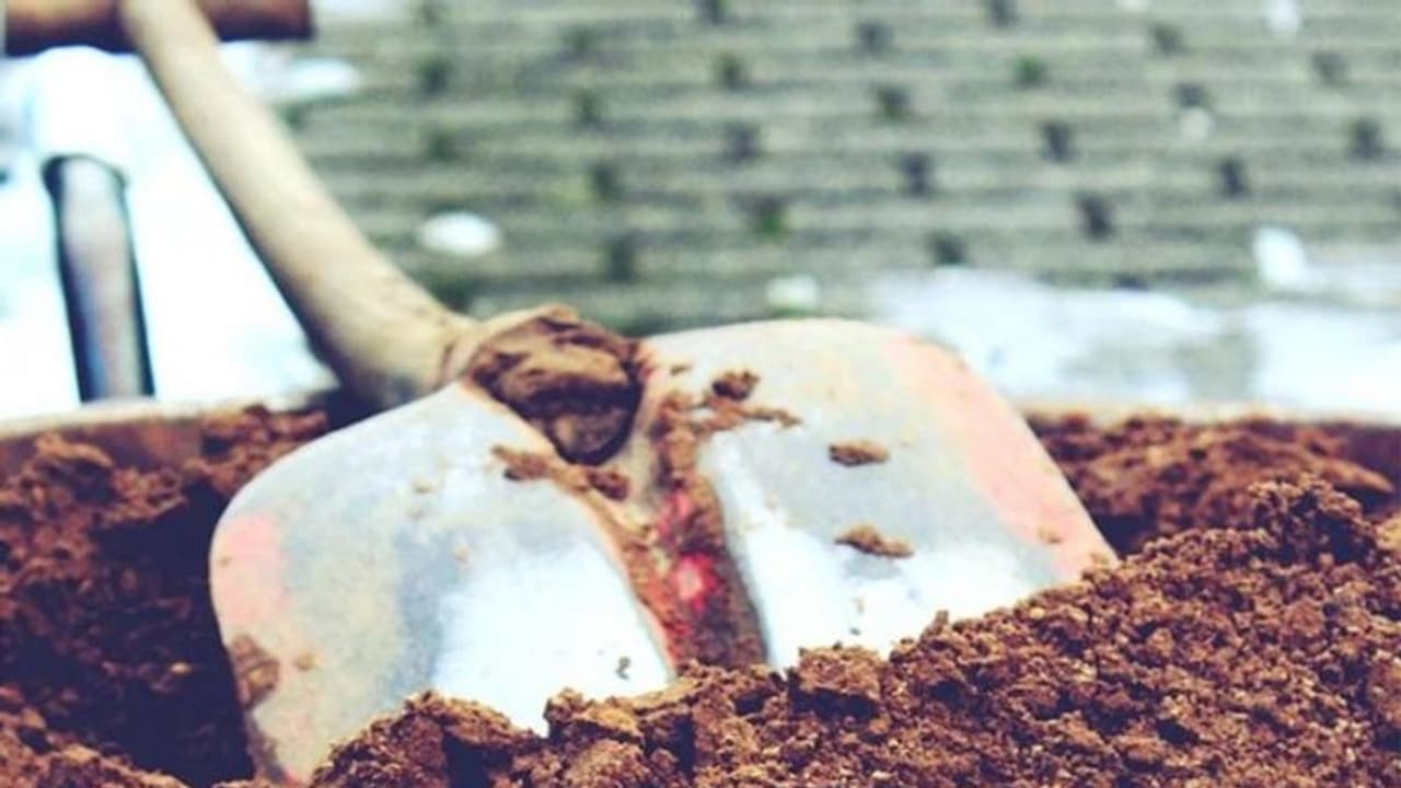 പെണ്കുഞ്ഞിനെ മണ്കുടത്തിലാക്കി ജീവനോടെ കുഴിച്ചിട്ടു; കണ്ടെത്തിയത് മറ്റൊരു കുഞ്ഞിനെ മറവുചെയ്യുന്നതിനിടെ പെണ്കുഞ്ഞിനെ മണ്കുടത്തിലാക്കി ജീവനോടെ കുഴിച്ചിട്ടു; കണ്ടെത്തിയത് മറ്റൊരു കുഞ്ഞിനെ മറവുചെയ്യുന്നതിനിടെ