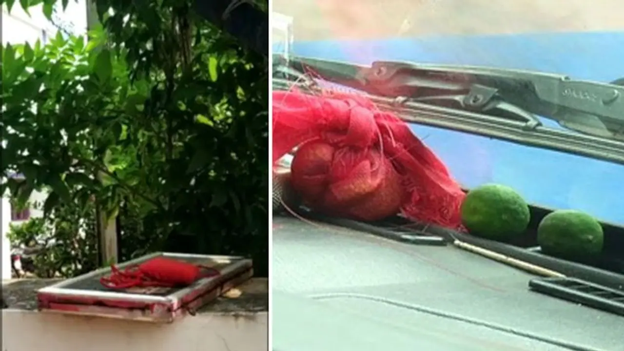 यह कैसी पुलिस, जो भूत से डरती है, देखिए कैसे कैसे तरीके अपना रही भूत भगाने यह कैसी पुलिस, जो भूत से डरती है, देखिए कैसे कैसे तरीके अपना रही भूत भगाने