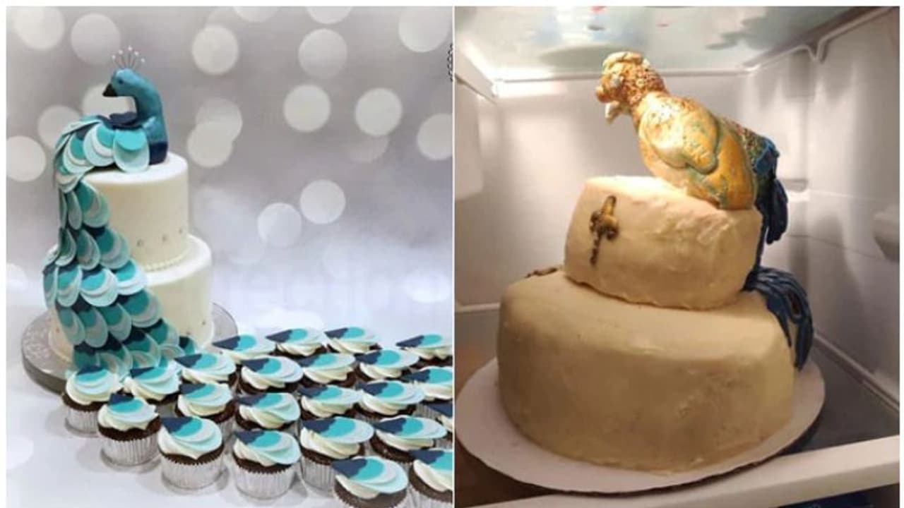 വിവാഹത്തിന് ഡീന ഓര്ഡര് ചെയ്തത് മയില് കേക്ക്, കിട്ടിയത് ടര്ക്കി കോഴി വിവാഹത്തിന് ഡീന ഓര്ഡര് ചെയ്തത് മയില് കേക്ക്, കിട്ടിയത് ടര്ക്കി കോഴി