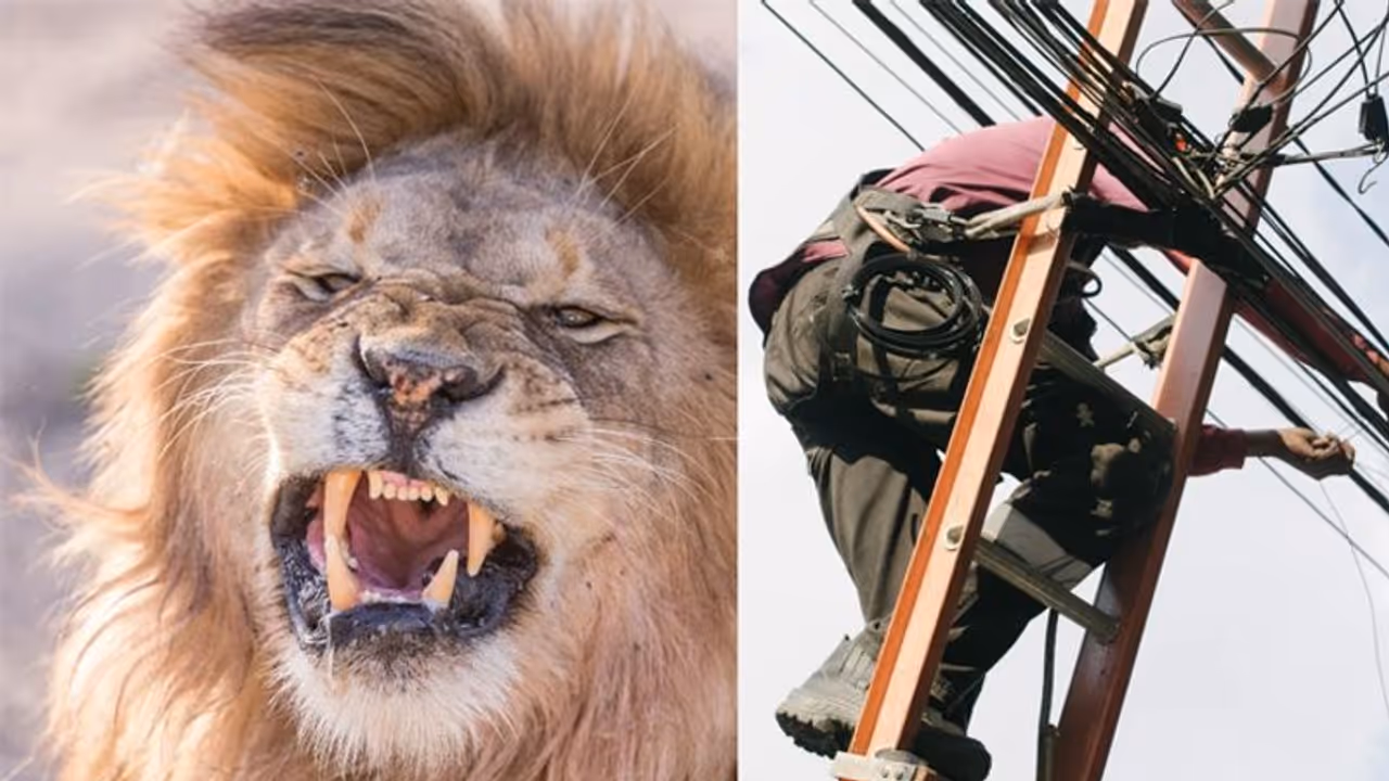 मिस्त्री ने जैसे ही मांगी मजदूरी, तमतमा उठा इमाम और पीछे छोड़ दी मौत मिस्त्री ने जैसे ही मांगी मजदूरी, तमतमा उठा इमाम और पीछे छोड़ दी मौत