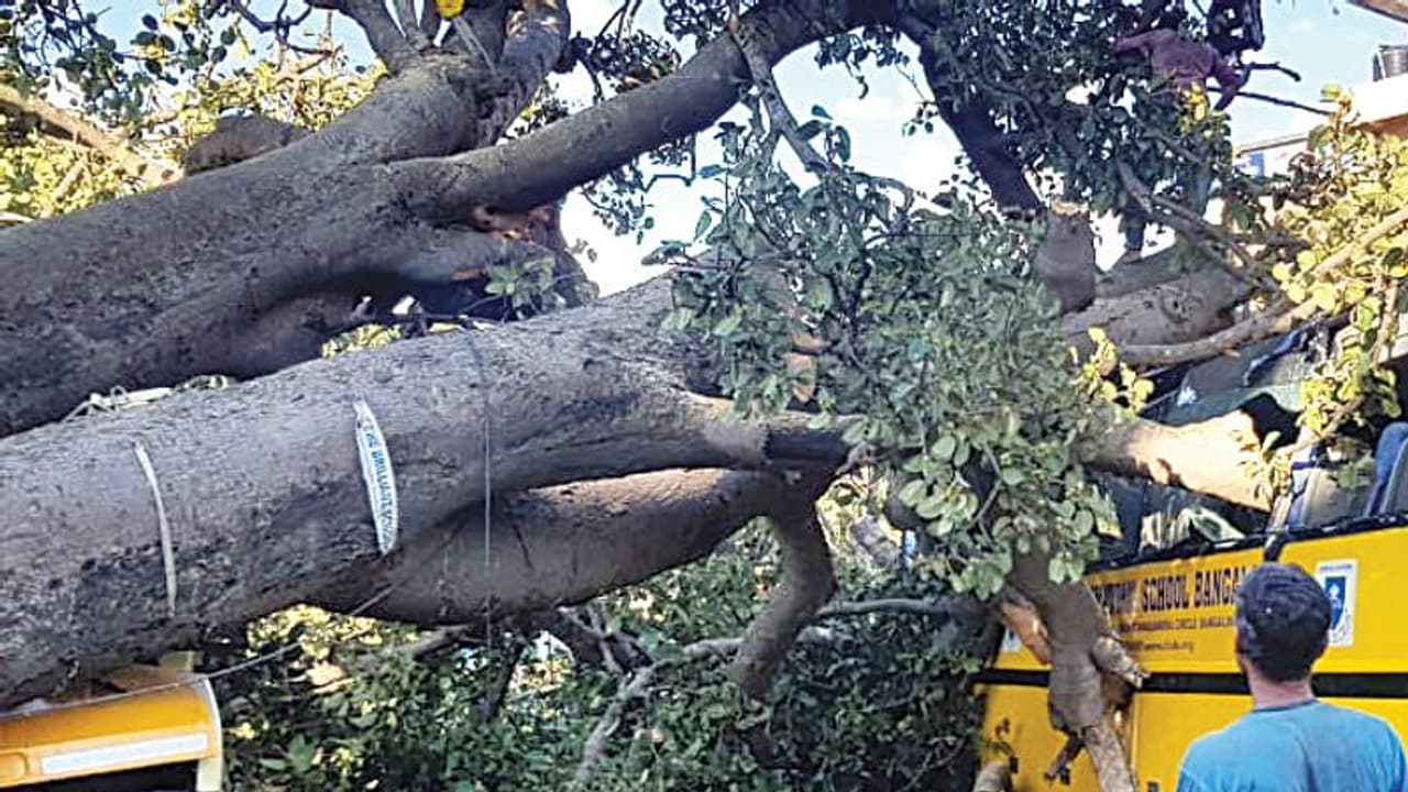 32 ಮಕ್ಕಳಿದ್ದ ಶಾಲಾ ಬಸ್ ಮೇಲೆ ಬಿತ್ತು ಬೃಹತ್ ಮರ! 32 ಮಕ್ಕಳಿದ್ದ ಶಾಲಾ ಬಸ್ ಮೇಲೆ ಬಿತ್ತು ಬೃಹತ್ ಮರ!