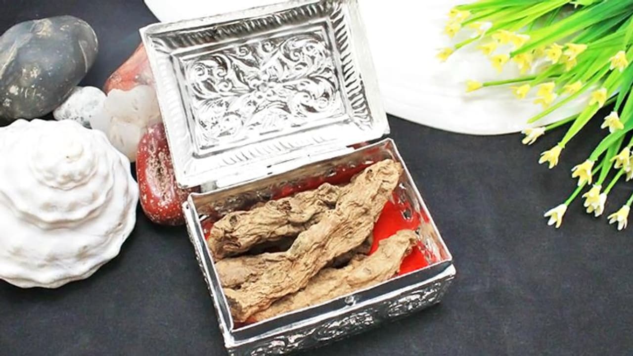 ज्योतिष व तंत्र उपायों में काम आती है काली हल्दी, इसे चांदी की डिब्बी में भरकर अपनी तिजोरी में रखें ज्योतिष व तंत्र उपायों में काम आती है काली हल्दी, इसे चांदी की डिब्बी में भरकर अपनी तिजोरी में रखें