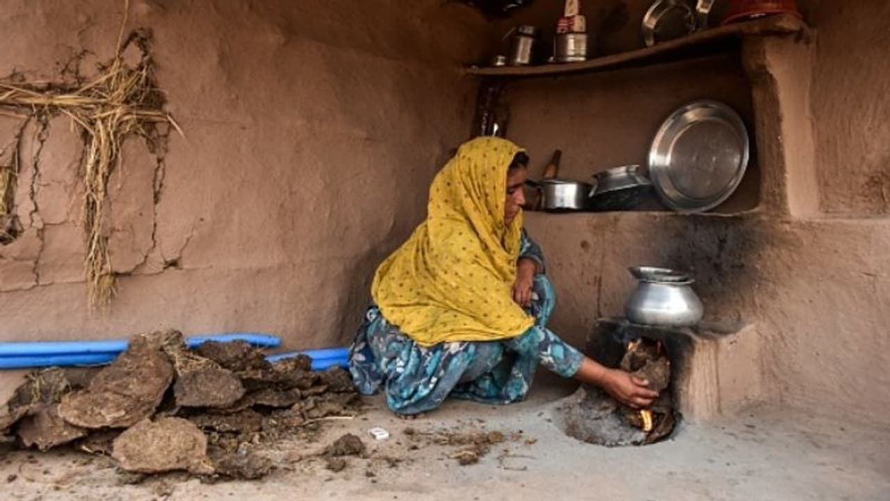 ആഗോള പട്ടിണി സൂചിക 2019: പാക്കിസ്ഥാനും മുന്നേറി; ഇന്ത്യക്ക് വീണ്ടും നാണക്കേട് ആഗോള പട്ടിണി സൂചിക 2019: പാക്കിസ്ഥാനും മുന്നേറി; ഇന്ത്യക്ക് വീണ്ടും നാണക്കേട്