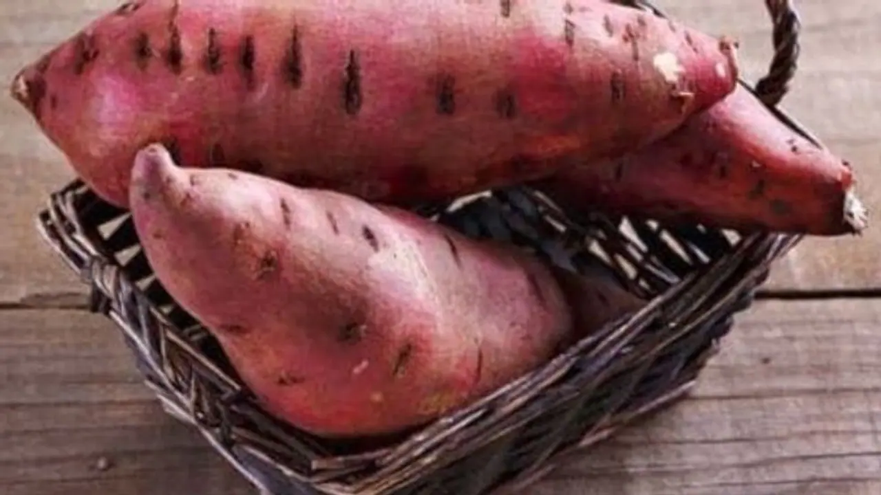 Sweet potatoes: சர்க்கரை வள்ளி கிழங்கில் ஒளிந்திருக்கும் அற்புத ஊட்டச்சத்துக்கள்...!!