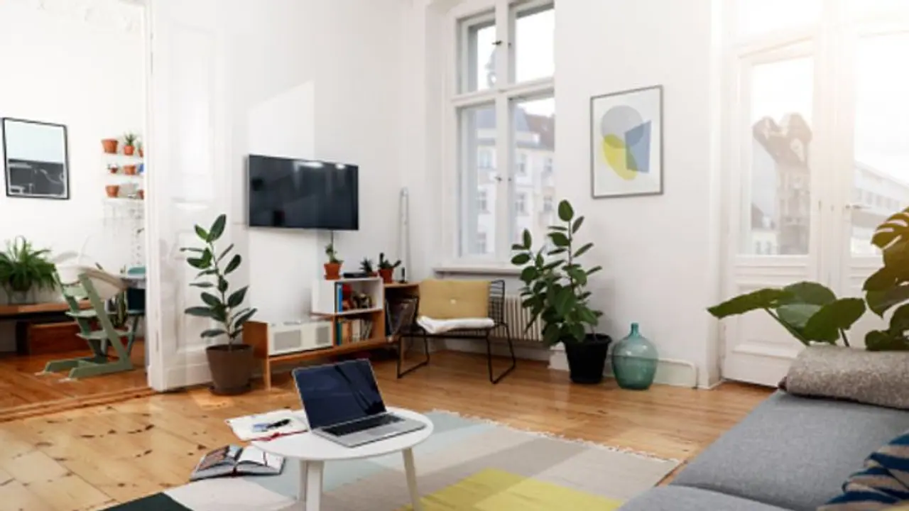 বিনা খরচে দুর্ভাগ্যকে বদলে নিন সৌভাগ্যে, শুধু মনে রাখুন এই বিষয়গুলি বিনা খরচে দুর্ভাগ্যকে বদলে নিন সৌভাগ্যে, শুধু মনে রাখুন এই বিষয়গুলি