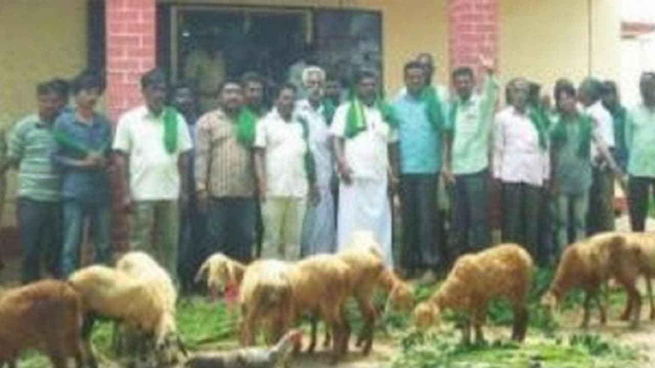 ಕೋಲಾರ: ಸೋಲಾರ್‌ ಘಟಕ ಕಾಮಗಾರಿ ನಿಲ್ಲಿಸಲು ಕುರಿಗಳೊಂದಿಗೆ ಪ್ರತಿಭಟನೆ