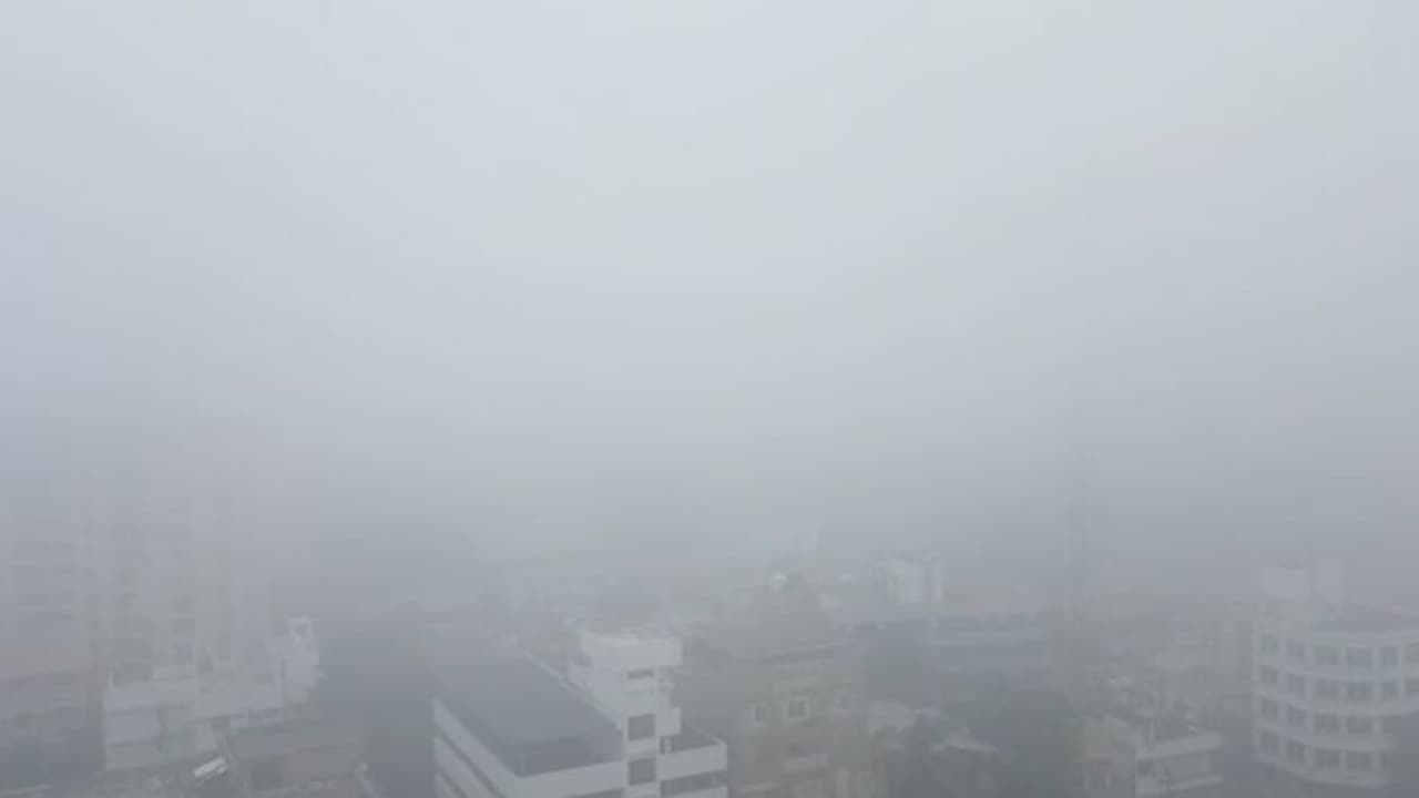 കൊച്ചി നഗരത്തില് ദൃശ്യമായത് പുകമഞ്ഞല്ല; അത് 'റേഡിയേഷണല് ഫോഗ്' കൊച്ചി നഗരത്തില് ദൃശ്യമായത് പുകമഞ്ഞല്ല; അത് 'റേഡിയേഷണല് ഫോഗ്'