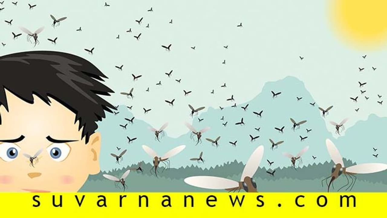 ಒಮ್ಮೆ ಬಂದ ಡೆಂಗ್ಯೂ ಮತ್ತೆ ಕಾಡೋಲ್ಲ ಎನ್ನುವುದು ಶುದ್ಧ ಸುಳ್ಳು... ಒಮ್ಮೆ ಬಂದ ಡೆಂಗ್ಯೂ ಮತ್ತೆ ಕಾಡೋಲ್ಲ ಎನ್ನುವುದು ಶುದ್ಧ ಸುಳ್ಳು...