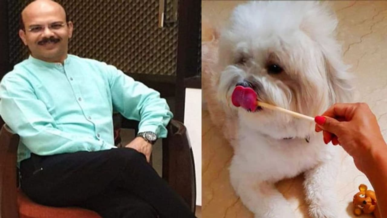 ब्लैकमनी से शाही ठाठ, 85 हजार की कुर्सी, तो 10 लाख का कुत्ता ब्लैकमनी से शाही ठाठ, 85 हजार की कुर्सी, तो 10 लाख का कुत्ता