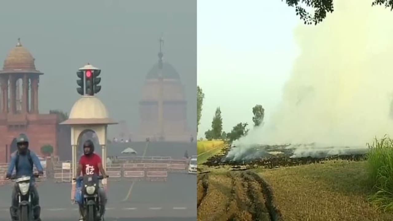 ദില്ലിയില് അന്തരീക്ഷ മലിനീകരണം രൂക്ഷം; വഷളാകാൻ കാരണം കാര്ഷികാവശിഷ്ടങ്ങൾ കത്തിക്കുന്നത് ദില്ലിയില് അന്തരീക്ഷ മലിനീകരണം രൂക്ഷം; വഷളാകാൻ കാരണം കാര്ഷികാവശിഷ്ടങ്ങൾ കത്തിക്കുന്നത്