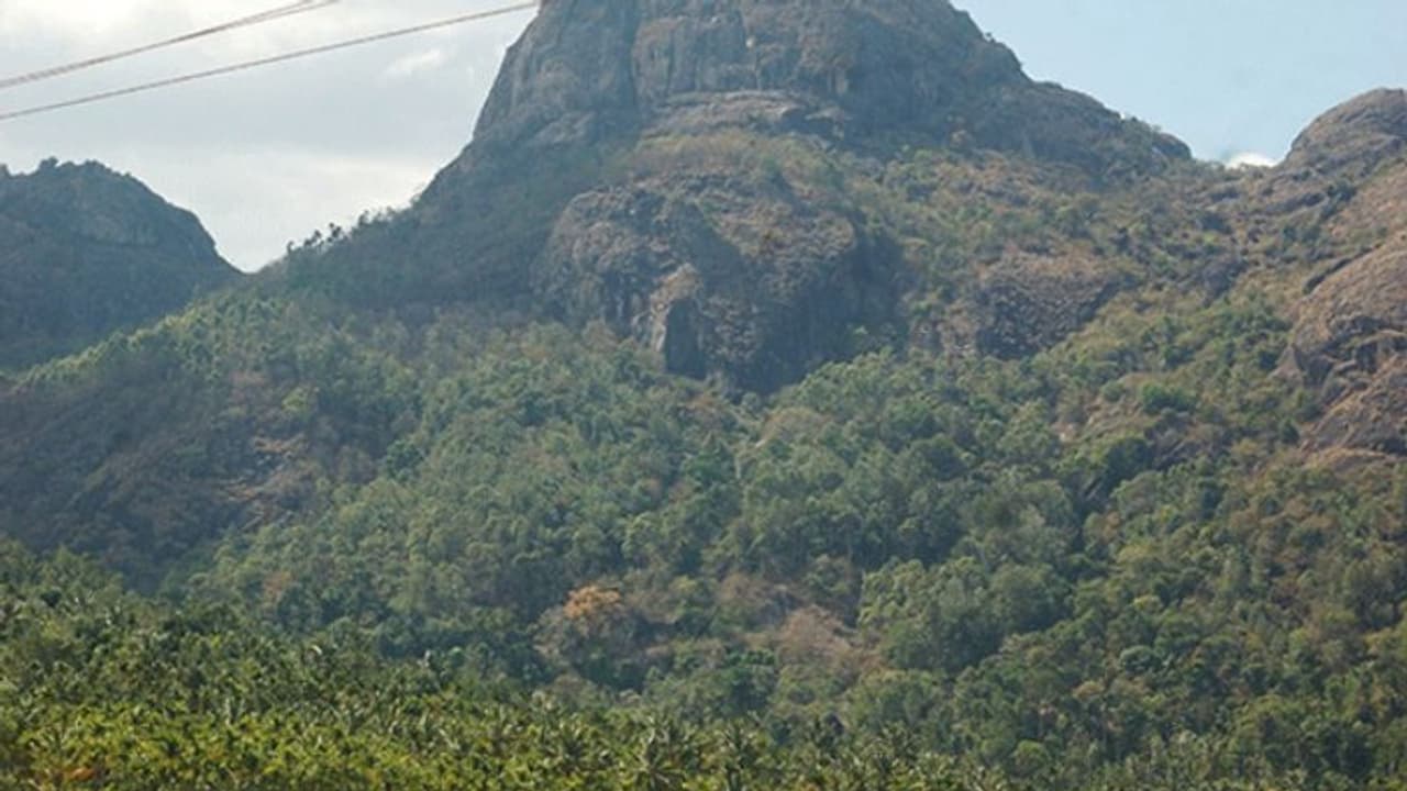 അമ്പുകുത്തി മലയടിവാരത്തിലെ റിസോര്ട്ട് നിര്മാണങ്ങള്ക്ക് തടയിടാന് നെന്മേനി പഞ്ചായത്ത് അമ്പുകുത്തി മലയടിവാരത്തിലെ റിസോര്ട്ട് നിര്മാണങ്ങള്ക്ക് തടയിടാന് നെന്മേനി പഞ്ചായത്ത്