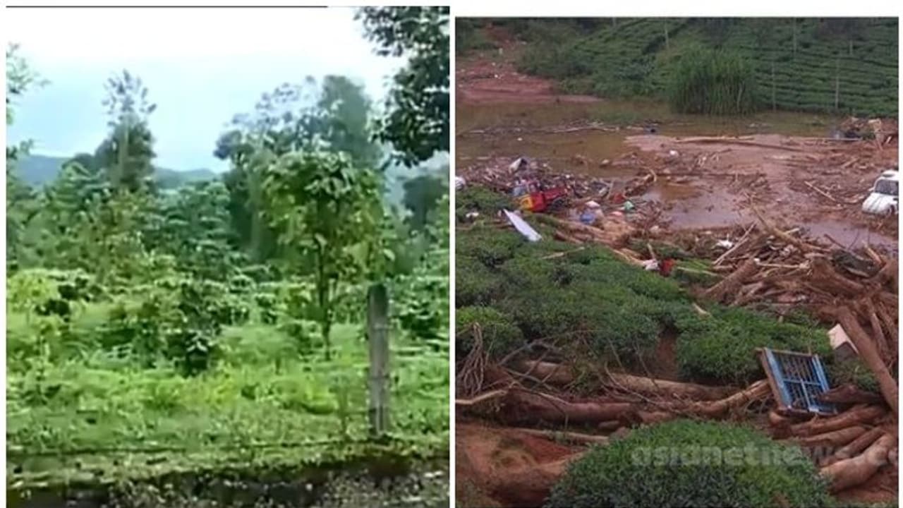 പ്രളയം തകര്ത്ത പുത്തുമലയിലെ കുടുംബങ്ങളെ പുനരധിവസിപ്പിക്കാന് ഭൂമി കണ്ടെത്തി പ്രളയം തകര്ത്ത പുത്തുമലയിലെ കുടുംബങ്ങളെ പുനരധിവസിപ്പിക്കാന് ഭൂമി കണ്ടെത്തി
