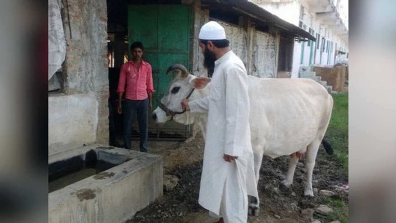 इस मदरसे में पूजी जाती है गाय माता इस मदरसे में पूजी जाती है गाय माता