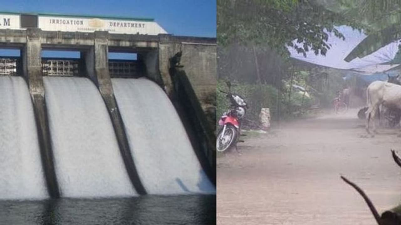 തുലാവർഷം കനക്കുന്നു; മലമ്പുഴ ഡാം ഷട്ടറുകൾ ഉയർത്തും, അമ്പൂരിയിൽ ഉരുൾപൊട്ടലും കൃഷിനാശവും