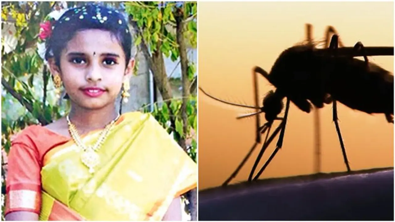 குழந்தைகளை குறிவைக்கும் டெங்கு காய்ச்சல்..! கோவையில் 10 வயது சிறுமி பலி..! குழந்தைகளை குறிவைக்கும் டெங்கு காய்ச்சல்..! கோவையில் 10 வயது சிறுமி பலி..!