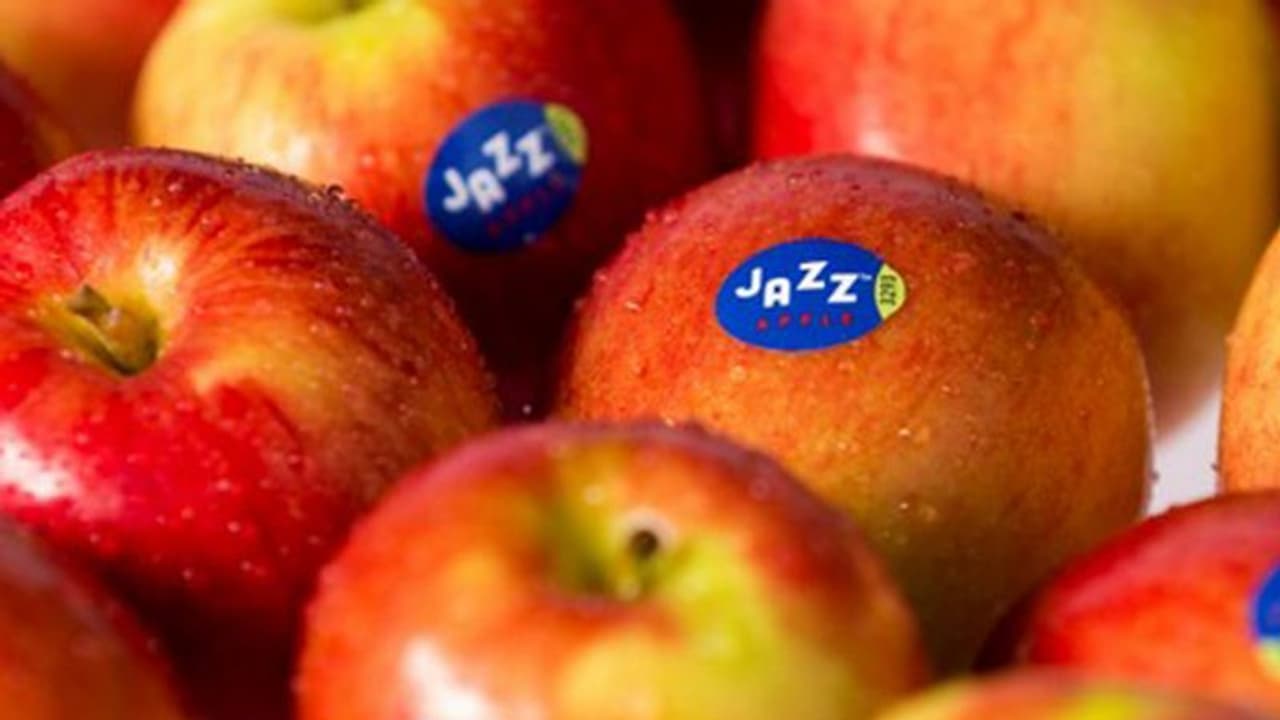 പഴങ്ങളിൽ സ്റ്റിക്കറുകൾ ഒട്ടിക്കുന്നതിന് നിരോധനമേർപ്പെടുത്തി