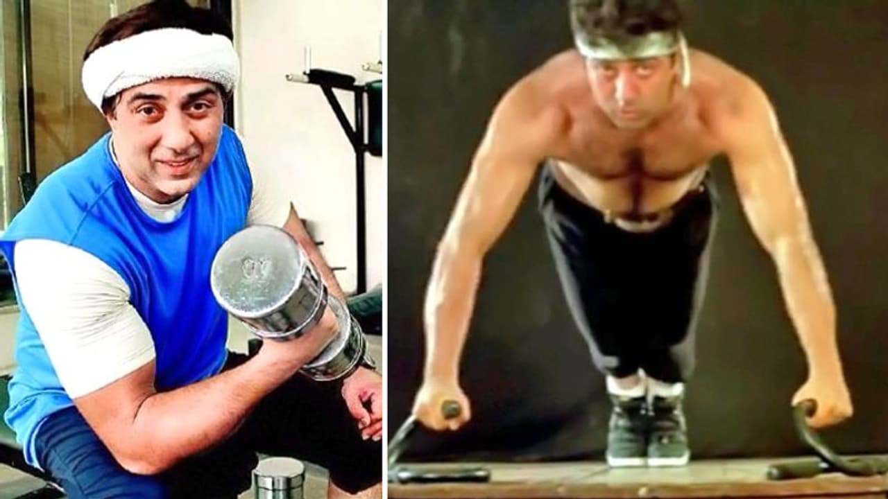 फिट रहने के लिए हर दो घंटे में कुछ न कुछ खाते हैं सनी देओल, इन दो चीजों को हाथ भी नहीं लगाते फिट रहने के लिए हर दो घंटे में कुछ न कुछ खाते हैं सनी देओल, इन दो चीजों को हाथ भी नहीं लगाते