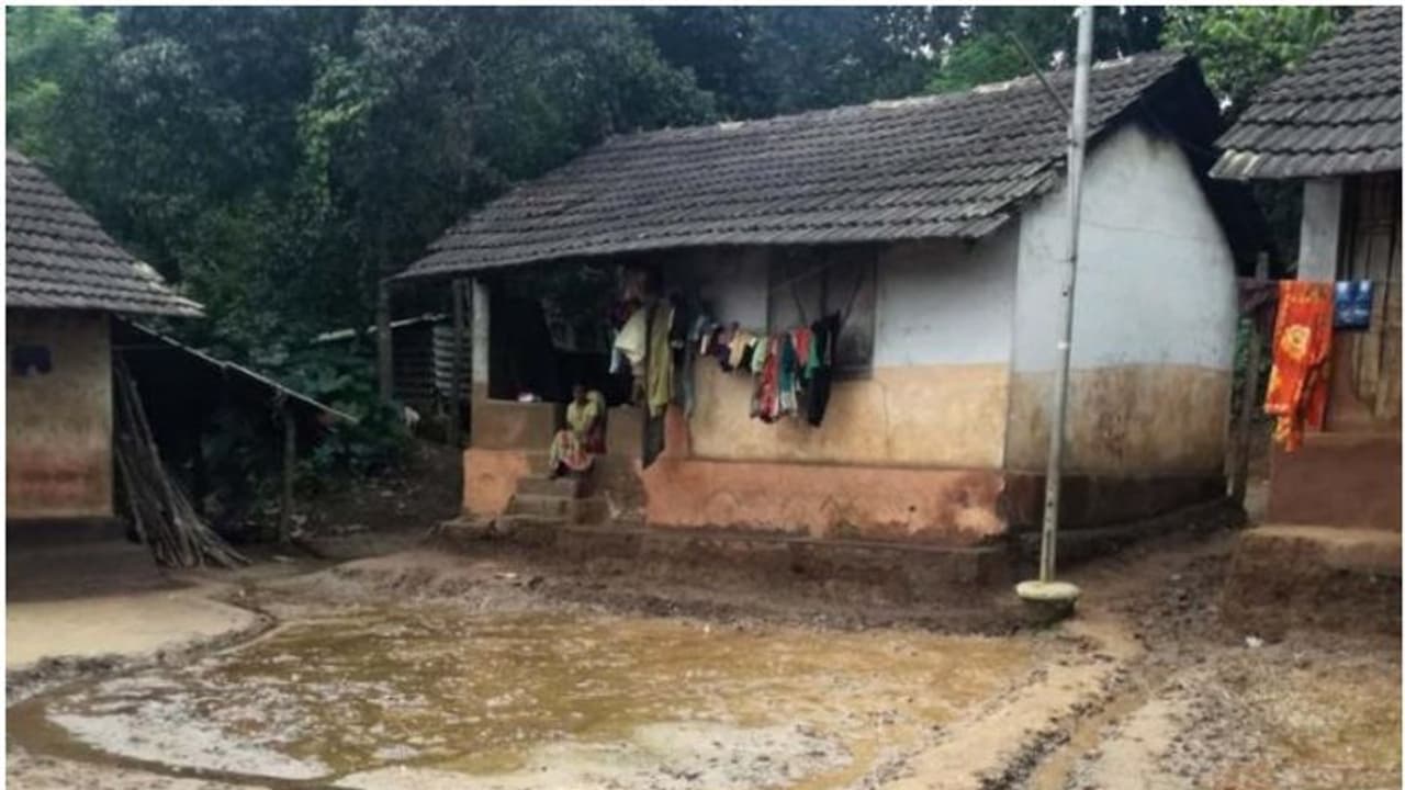 തിരുനെല്ലി വനമേഖലയിലെ 31 കാട്ടുനായ്ക്ക കുടുംബങ്ങളെ പുനരധിവസിപ്പിക്കും തിരുനെല്ലി വനമേഖലയിലെ 31 കാട്ടുനായ്ക്ക കുടുംബങ്ങളെ പുനരധിവസിപ്പിക്കും