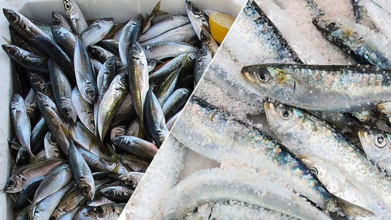 ಸಮುದ್ರ ತೀರದಲ್ಲೇ ಮೀನಿನ ಖಾದ್ಯಕ್ಕೆ ಬರ : ಕಾರಣ..?