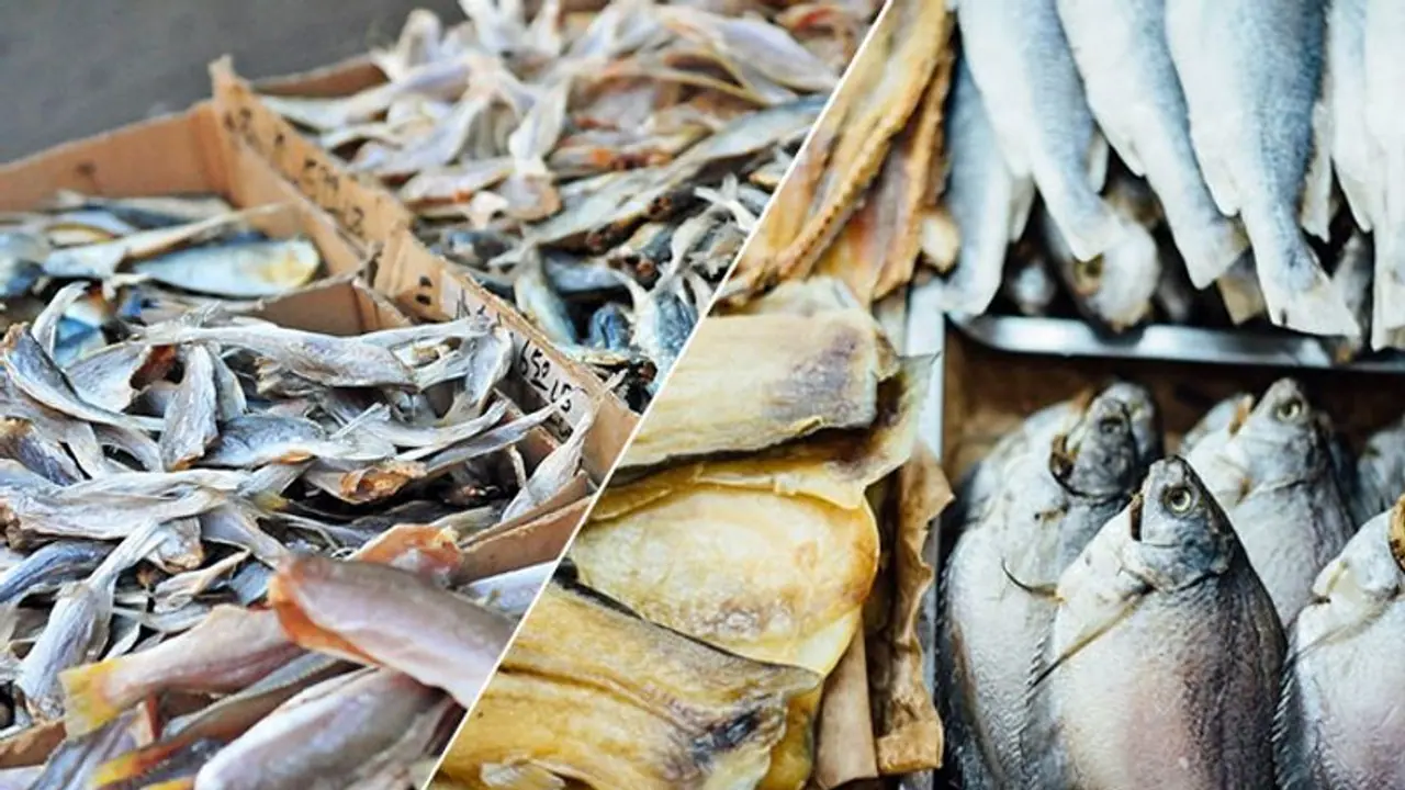 சீலா, இறால், நெய்தோலி, சுறா கருவாடு மருத்துவ பலன்கள் ஏராளம்! யாரெல்லாம் சாப்பிடக் கூடாது தெரியுமா? 