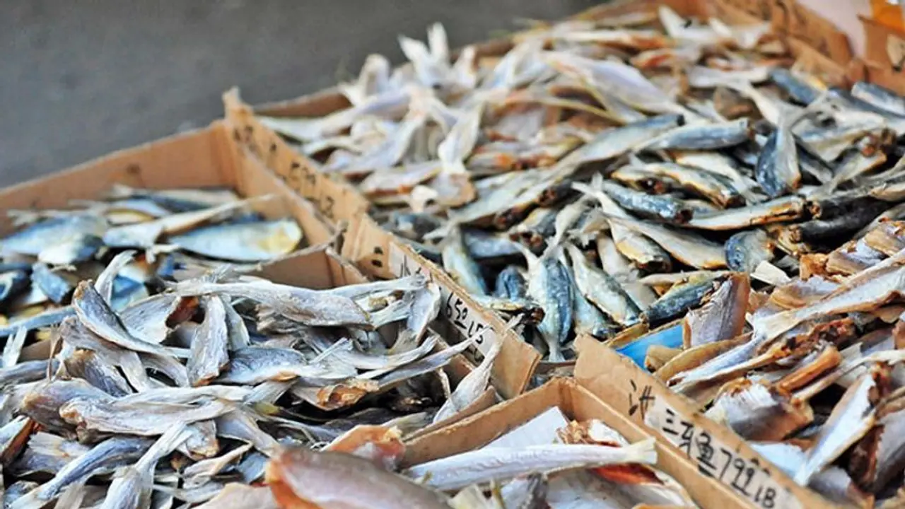 ಮೀನುಗಾರ ಮಹಿಳೆಯರಿಗೆ ಸರ್ಕಾರದಿಂದ ಬೈಕ್