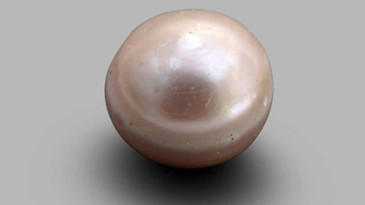 8000 വര്ഷം പഴക്കമുള്ള പവിഴം കണ്ടെത്തി 8000 വര്ഷം പഴക്കമുള്ള പവിഴം കണ്ടെത്തി