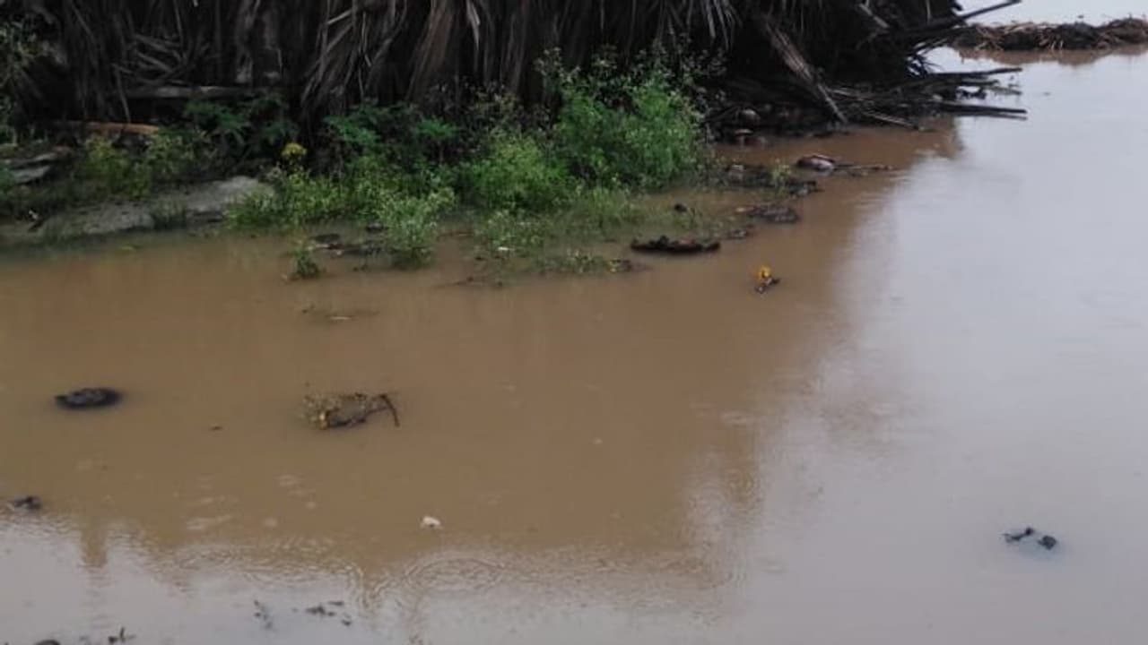 ಮಲೆನಾಡಲ್ಲೂ ಮತ್ತೆ ಮಳೆಯಬ್ಬರ : ಹೊಲಗದ್ದೆಗಳು ಜಲಾವೃತ ಮಲೆನಾಡಲ್ಲೂ ಮತ್ತೆ ಮಳೆಯಬ್ಬರ : ಹೊಲಗದ್ದೆಗಳು ಜಲಾವೃತ