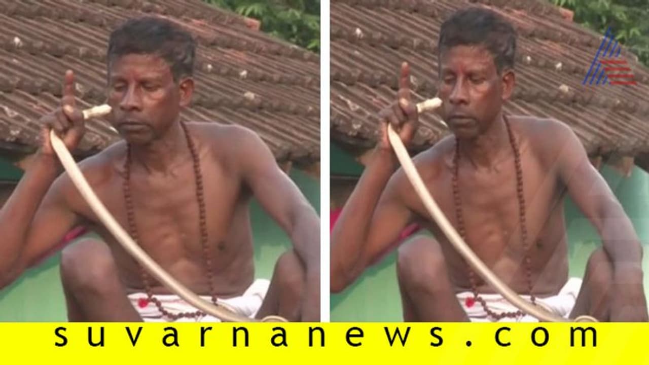 ಜಾರ್ಖಂಡ್ನಲ್ಲಿ ಹಾವಿನಿಂದ ಕಚ್ಚಿಸಿಕೊಳ್ಳುವ ವಿಶಿಷ್ಟಹಬ್ಬ! ಜಾರ್ಖಂಡ್ನಲ್ಲಿ ಹಾವಿನಿಂದ ಕಚ್ಚಿಸಿಕೊಳ್ಳುವ ವಿಶಿಷ್ಟಹಬ್ಬ!