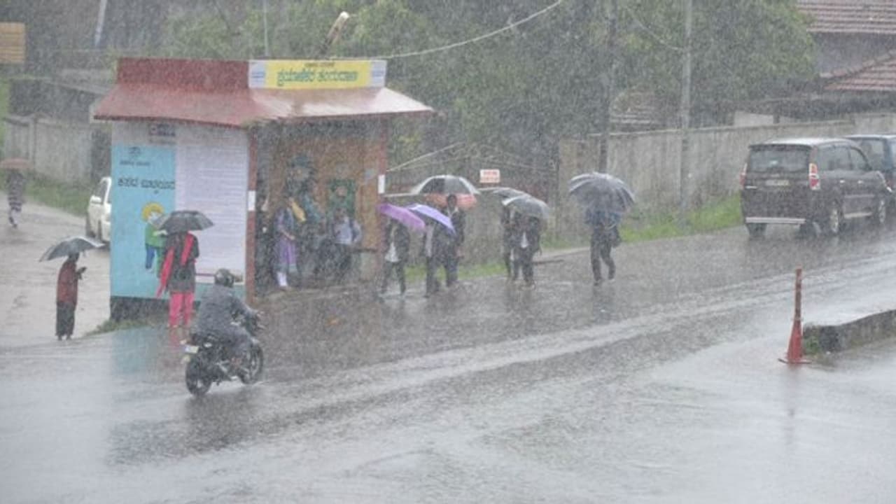 കനത്ത മഴ; കാസർകോട് ജില്ലയിലെ വിദ്യാഭ്യാസ സ്ഥാപനങ്ങൾക്ക് നാളെ അവധി കനത്ത മഴ; കാസർകോട് ജില്ലയിലെ വിദ്യാഭ്യാസ സ്ഥാപനങ്ങൾക്ക് നാളെ അവധി