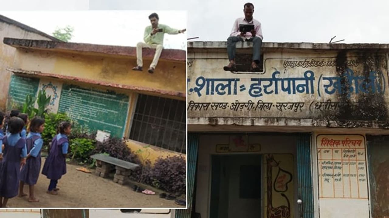 नेटवर्क ढूंढने कोई स्कूल की छत तो किसी को चढ़ना पड़ा पेड़ पर, नीचे खड़े बच्चे पूछते रहे सर सवाल तो बता दो... नेटवर्क ढूंढने कोई स्कूल की छत तो किसी को चढ़ना पड़ा पेड़ पर, नीचे खड़े बच्चे पूछते रहे सर सवाल तो बता दो...