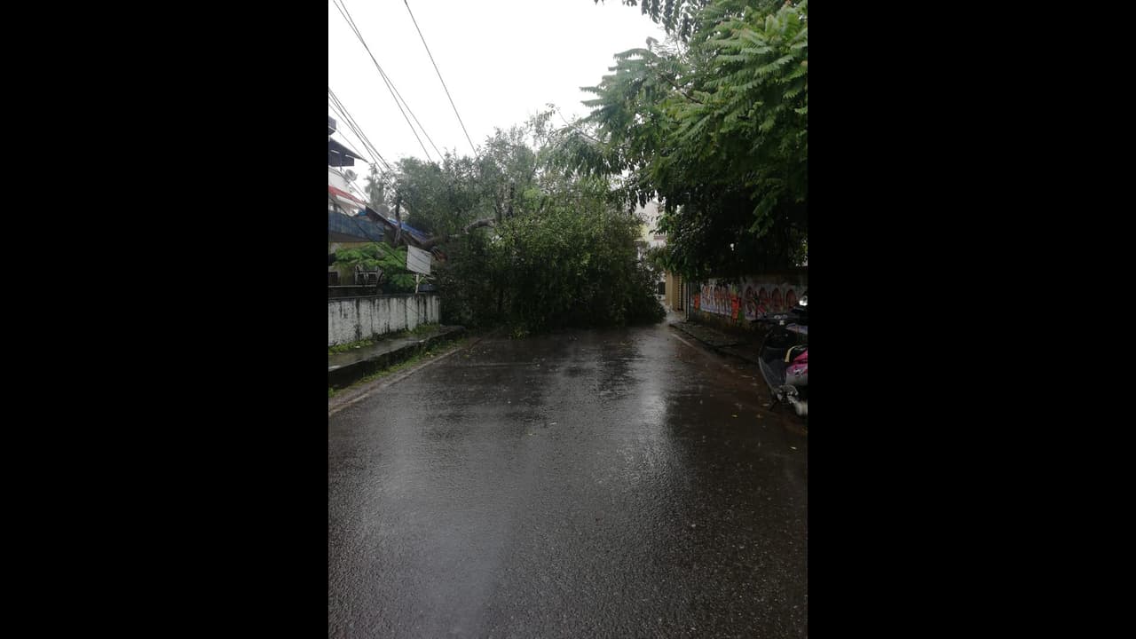 আকাশের মুখভার, সকাল থেকে দফায় দফায় বৃষ্টিতে ভিজছে তিলোত্তমা আকাশের মুখভার, সকাল থেকে দফায় দফায় বৃষ্টিতে ভিজছে তিলোত্তমা
