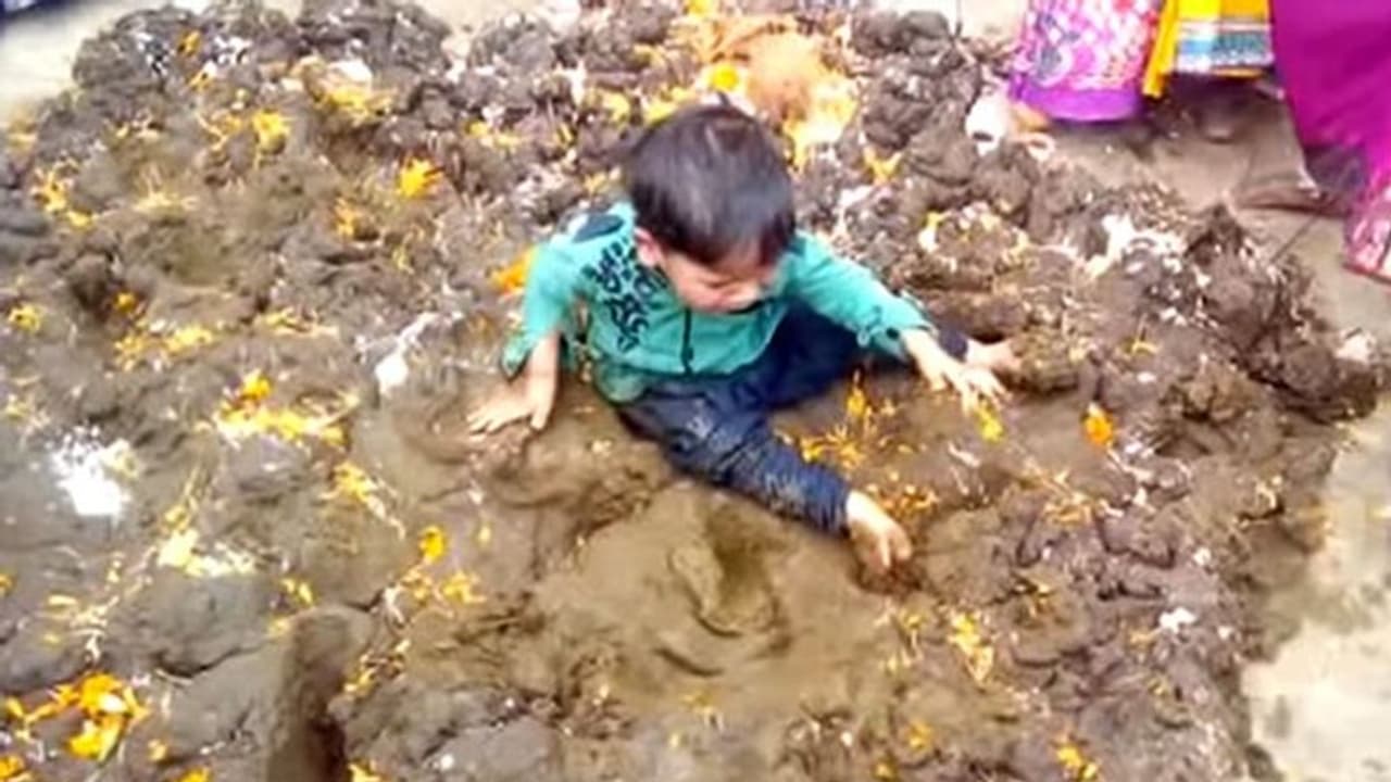 এখানে গোবরের মধ্যে বাচ্চাদের ফেলে, উৎসব পালন করেন অভিভাবকরা এখানে গোবরের মধ্যে বাচ্চাদের ফেলে, উৎসব পালন করেন অভিভাবকরা