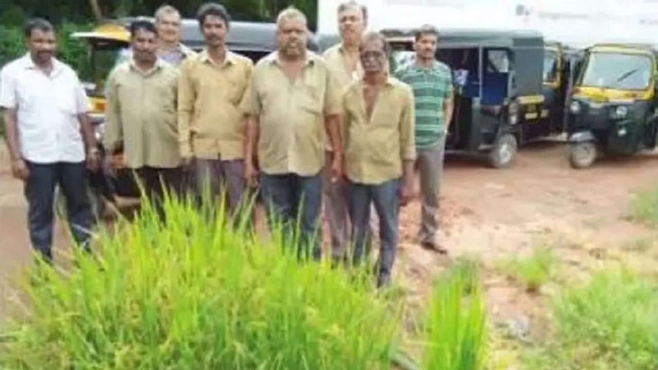 ಮಂಗಳೂರು: ಆಟೋ ನಿಲ್ದಾಣದ ಬಳಿ ಪೈರು ಕಟಾವಿಗೆ ಸಿದ್ಧ! ಮಂಗಳೂರು: ಆಟೋ ನಿಲ್ದಾಣದ ಬಳಿ ಪೈರು ಕಟಾವಿಗೆ ಸಿದ್ಧ!