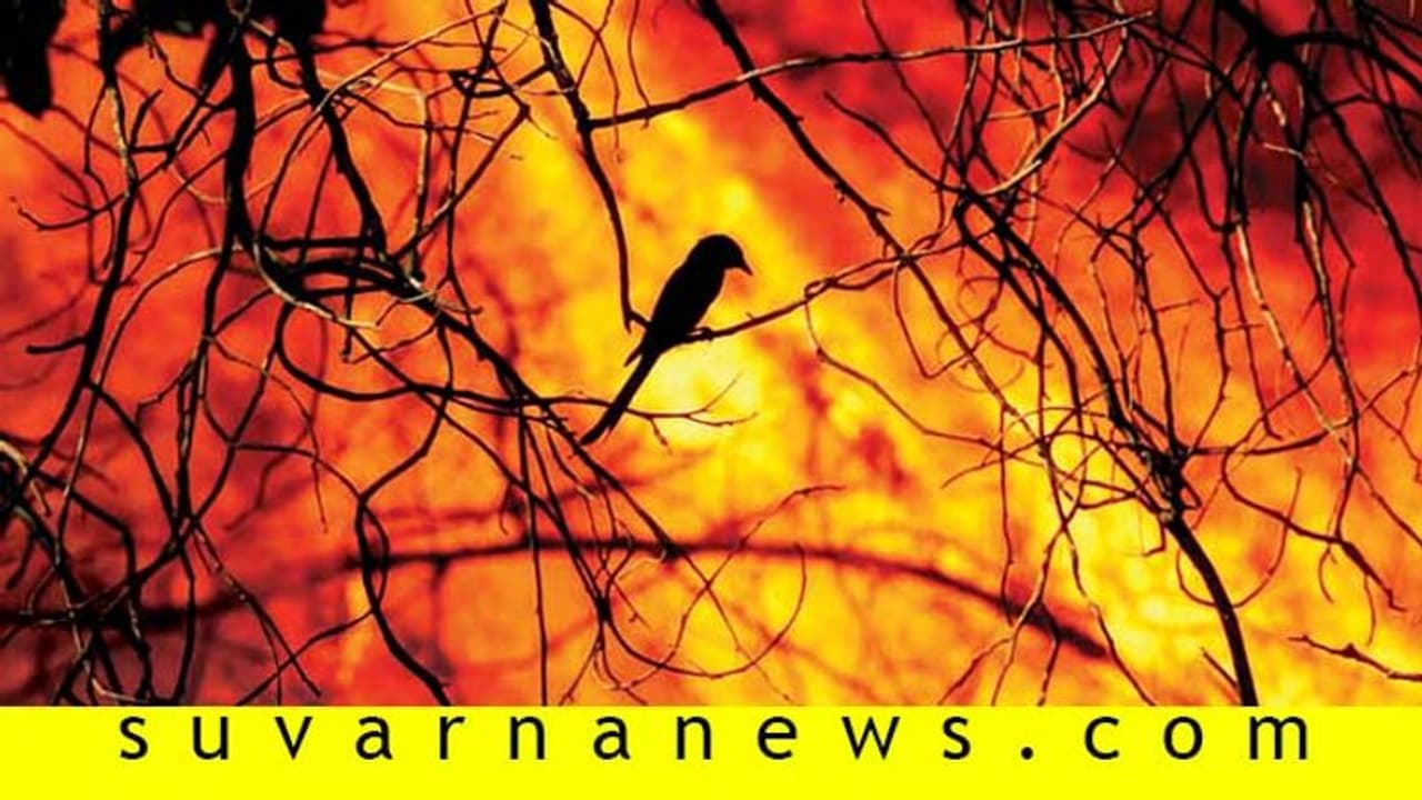 ಕಾಡು ಪ್ರಾಣಿಗಳು ನಾಡಿನವರ ಮೇಲೆ ಅಟ್ಯಾಕ್ ಮಾಡುವುದಕ್ಕೆ ಕಾರಣವೇನು? ಕಾಡು ಪ್ರಾಣಿಗಳು ನಾಡಿನವರ ಮೇಲೆ ಅಟ್ಯಾಕ್ ಮಾಡುವುದಕ್ಕೆ ಕಾರಣವೇನು?