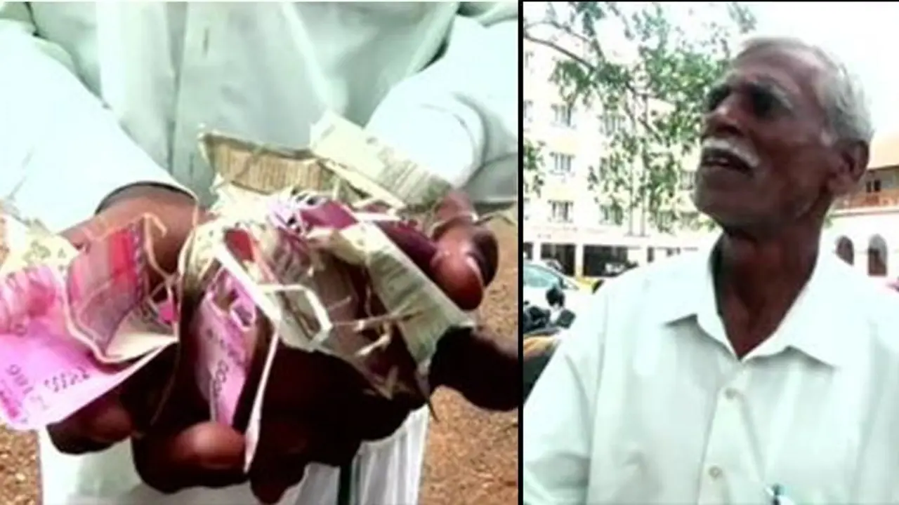 உழைத்து சேமித்த 50 ஆயிரம் பணத்தை கடித்துக் குதறிய எலி..! வங்கியிலும் மாற்ற முடியாததால் பரிதவிக்கும் விவசாயி..! உழைத்து சேமித்த 50 ஆயிரம் பணத்தை கடித்துக் குதறிய எலி..! வங்கியிலும் மாற்ற முடியாததால் பரிதவிக்கும் விவசாயி..!