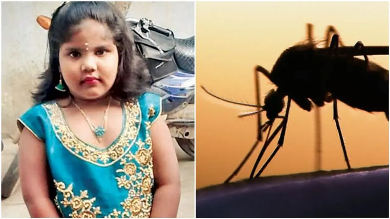 டெங்கு பாதிப்பில் மேலும் ஒரு சிறுமி மரணம்..! தொடரும் சோகம்..! டெங்கு பாதிப்பில் மேலும் ஒரு சிறுமி மரணம்..! தொடரும் சோகம்..!