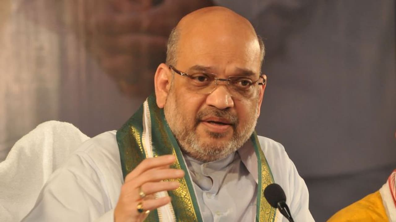 Sardar Patel's dream of integrating Jammu, Kashmir with India fulfilled by Modi: Amit Shah