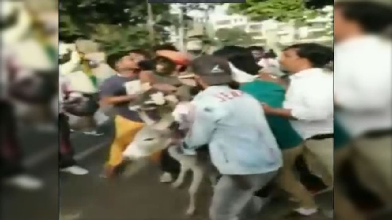 মুখে কালি, গলায় জুতোর মালা, গাধার পিঠে ঘোরানো হল মায়াবতীর দলের দুই নেতাকে, দেখুন ভিডিও মুখে কালি, গলায় জুতোর মালা, গাধার পিঠে ঘোরানো হল মায়াবতীর দলের দুই নেতাকে, দেখুন ভিডিও