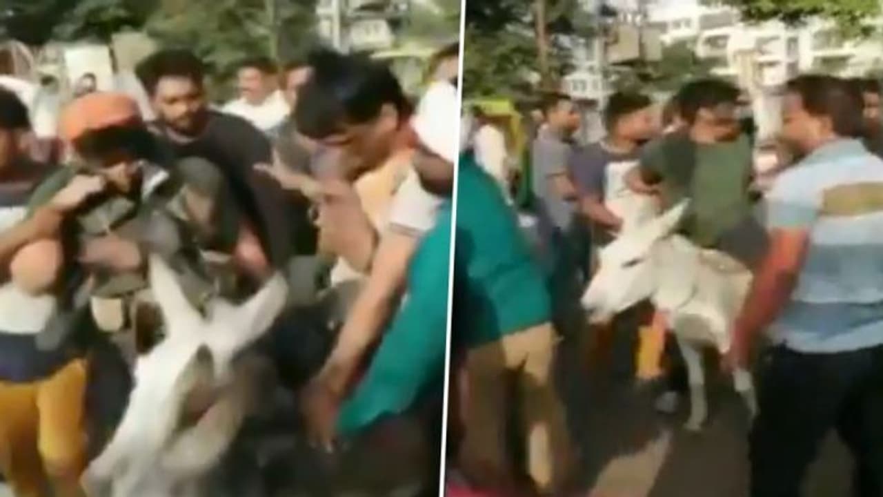 ఎన్నికల్లో టికెట్లు అమ్ముకున్నారని: చెప్పుల దండలు వేసి.. గాడిదపై ఊరేగించారు ఎన్నికల్లో టికెట్లు అమ్ముకున్నారని: చెప్పుల దండలు వేసి.. గాడిదపై ఊరేగించారు