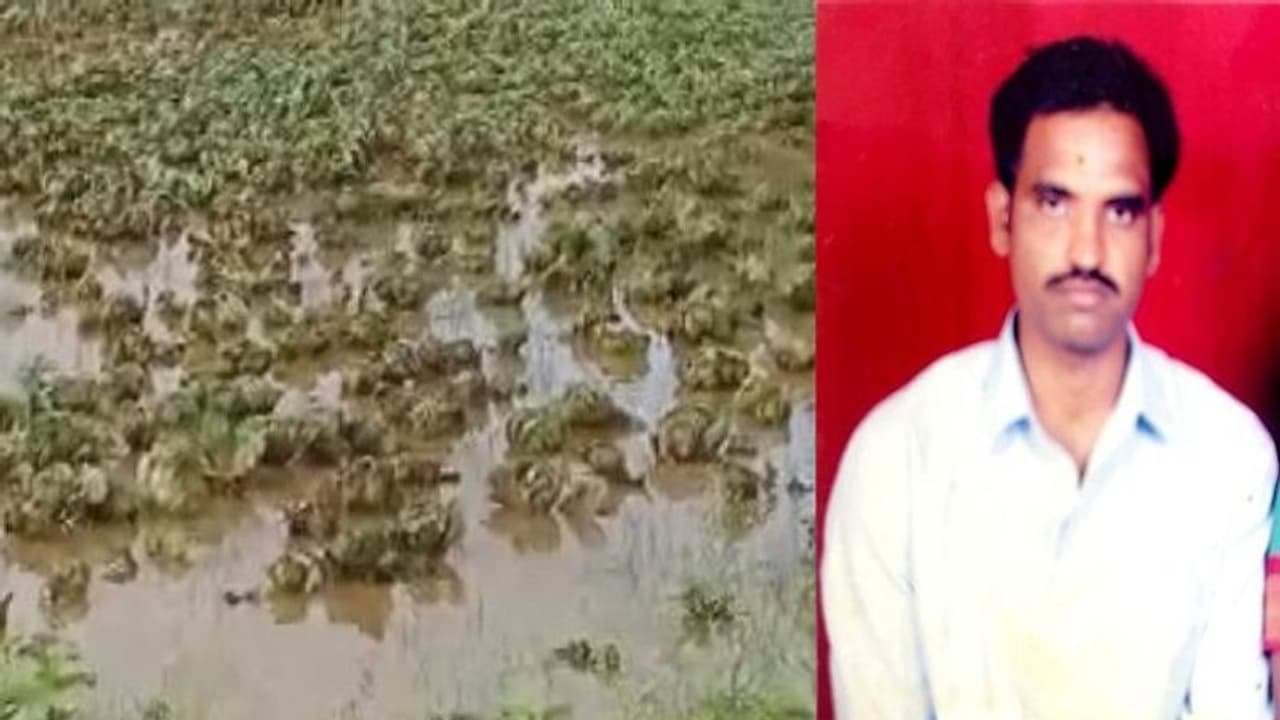 ಅತ್ತ ಮಳೆಗೆ ಕೊಚ್ಚಿ ಹೋದ ಈರುಳ್ಳಿ ಬೆಳೆ: ಇತ್ತ ರೈತ ನೇಣಿಗೆ ಶರಣು ಅತ್ತ ಮಳೆಗೆ ಕೊಚ್ಚಿ ಹೋದ ಈರುಳ್ಳಿ ಬೆಳೆ: ಇತ್ತ ರೈತ ನೇಣಿಗೆ ಶರಣು