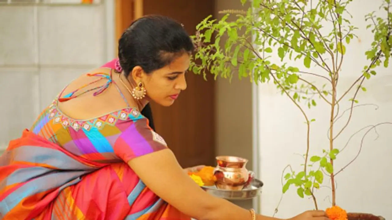 সঠিক নিয়ম মেনে বাড়িতে রাখুন তুলসী গাছ, সংসারে ফিরবে শান্তি সমৃদ্ধি সঠিক নিয়ম মেনে বাড়িতে রাখুন তুলসী গাছ, সংসারে ফিরবে শান্তি সমৃদ্ধি