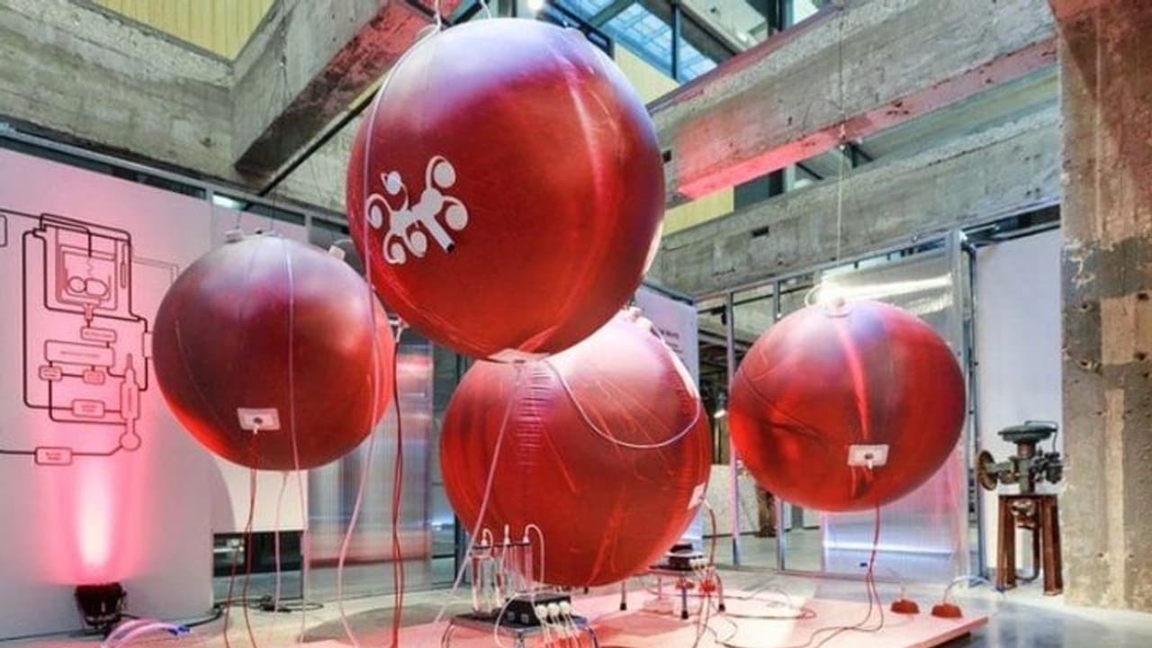 ഇത് ലോകത്തിലെ ആദ്യത്തെ 'കൃത്രിമ ഗര്‍ഭപാത്രം'