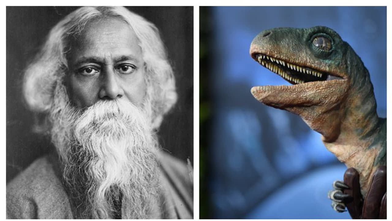 রবীন্দ্রনাথ ঠাকুরের নামে আছে এক ডাইনোসর, অবহেলায় পড়ে রয়েছে কলকাতাতেই রবীন্দ্রনাথ ঠাকুরের নামে আছে এক ডাইনোসর, অবহেলায় পড়ে রয়েছে কলকাতাতেই