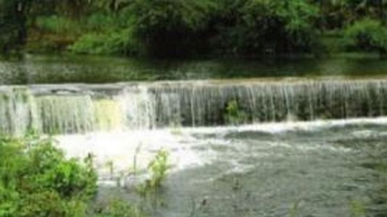 ಮಂಡ್ಯ: ಬಿರುಸಿನ ಮಳೆಗೆ ತುಂಬಿ ಹರಿದ ಒಡಕೆ ಕಟ್ಟೆ